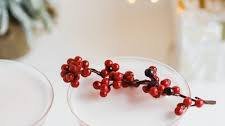 Cranberry Aquafaba Gin Sour Cocktail Recipe