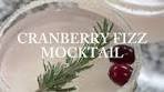 Cranberry Fizz Mocktail @Drink Poppi ❄️ Recipe: 1 can of ...