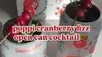 festive cocktail using @drinkpoppi cranberry fizz ❤️ 1/2 a ...