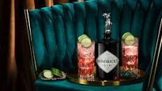 Hendrick's Cranberry Fizz