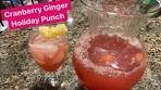 How to Make: Cranberry Ginger Holiday Punch