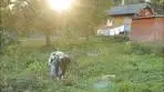 Mountain Traditions. Autumn Harvest and Homestyle Recipes ...