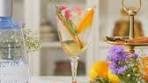 Orange Spiced Gin & Tonic Welcome to Episode 7 Of “Cheers ...