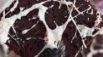Spider Web Brownies 🕷️🕸️ concludiamo la settimana a ...
