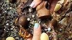 Triple Choco Pretzel Bark, the Easter edition recipe! Yours ...