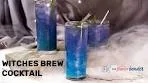 Witches Brew Drink (Shimmery Gin Cocktail)