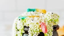 Witches Brew Halloween Dessert Dip