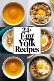 24+ Homemade Egg Yolk Recipes For Your Cooking Game Today! – egg yolk recipes