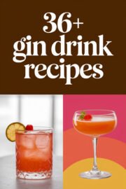 gin-drink-recipes-ccccc-98104
