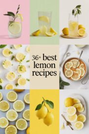 lemon-recipes-ccccc-36116