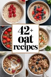 42+ Best Oat Recipes to Make Your Mornings Delightfully Delicious and Nutritious! 42+ Best Oat Recipes to Make Your Mornings Delightfully Delicious and Nutritious! – oat recipes