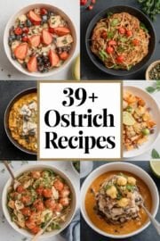 39+ Delicious Ostrich Recipes You’ll Love to Try This Weekend! 39+ Delicious Ostrich Recipes You’ll Love to Try This Weekend! – ostrich recipes