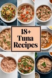 18+ Best Tuna Recipes That Will Make Your Taste Buds Dance – tuna recipes