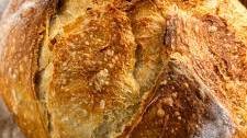 Easy No-Knead Crusty Bread