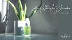 Aloe + Green Tea + Cucumber Tea Mist Spray