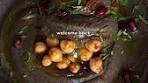 Black Garlic Hummus Recipe - Take a Dip Season 2