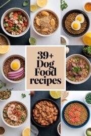39+ Favorite Homemade Dog Food Recipes Your Pup Will Love! Get Cooking for a Happier, Healthier Pet Today! 39+ Favorite Homemade Dog Food Recipes Your Pup Will Love! Get Cooking for a Happier, Healthier Pet Today! – dog food recipes