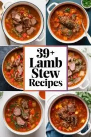 39+ Easy Lamb Stew Recipes That Will Warm Your Heart and Home 39+ Easy Lamb Stew Recipes That Will Warm Your Heart and Home – lamb stew recipes