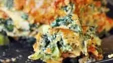 Lasagna Primavera