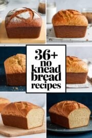 36+ Irresistibly Homemade No Knead Bread Recipes You Can Make Today! – no knead bread recipes