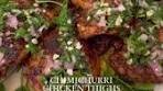 Olivia Adriance ♡ | CHIMICHURRI CHICKEN THIGHS✨ the ...