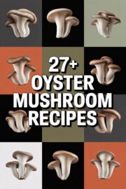 oyster-mushroom-ccccc-32693