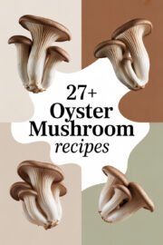 oyster-mushroom-ccccc-66583