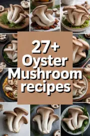 oyster-mushroom-ccccc-87584