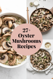 oyster-mushrooms-recipes-generated-16176