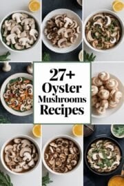 27+ Oyster Mushroom Recipes You’ll Love to Cook and Share! 27+ Oyster Mushroom Recipes You’ll Love to Cook and Share! – oyster mushrooms recipes