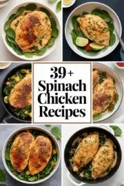 39+ Quick Spinach Chicken Recipes You'll Love to Make for Dinner Tonight! 39+ Quick Spinach Chicken Recipes You’ll Love to Make for Dinner Tonight! – spinach chicken recipes