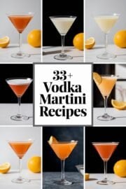 33+ Amazing Vodka Martini Recipes You Must Try for Your Next Cocktail Party! – vodka martini recipes