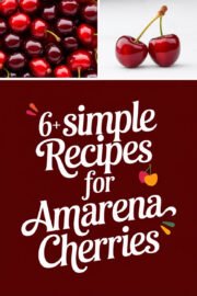amarena-cherries-ccccc-90301