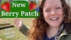 Berry Patch Garden Series-🍓🫐🍇 🍒Part 1