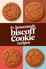 9+ Homemade Recipes to Delight You with Biscoff Cookies! biscoff-cookies-ccccc-59884