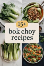 bok-choy-ccccc-48667