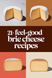 brie-cheese-ccccc-