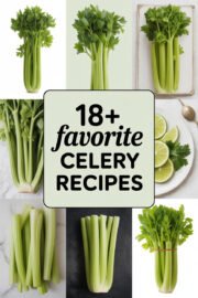 18+ Favorite Celery Recipes You’ll Love to Make and Enjoy Today! celery-ccccc-14137