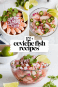 ceviche-fish-recipes-bbbbb-39373