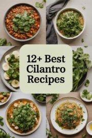 cilantro-recipes-ccccc-83716