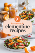 clementines-recipes-bbbbb-81373