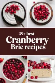 cranberry-brie-ccccc-