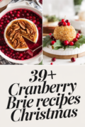 cranberry-brie-recipes-bbbbb-94555