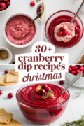 cranberry-dip-recipes-bbbbb-46482