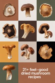 dried-mushroom-ccccc-55692