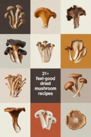 dried-mushroom-ccccc-59112