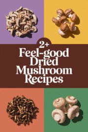 dried-mushroom-ccccc-90958