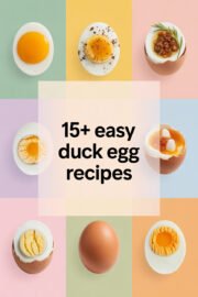 duck-egg-ccccc-57610