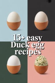 duck-egg-ccccc-66095