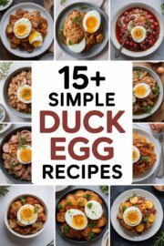 duck-egg-ccccc-98635